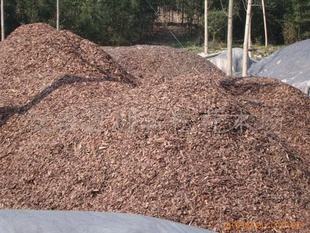 ЙC(j)ʏŠ(du)SַxҪ