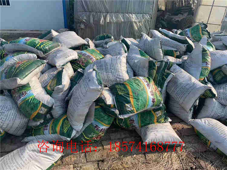 wЙC(j)ϬF(xin)(chng)Ҋ(jin)C